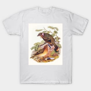 Guttated Bower-bird T-Shirt